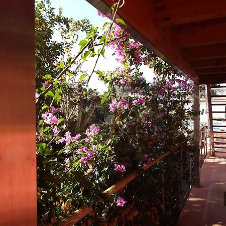 B&B Albaluna